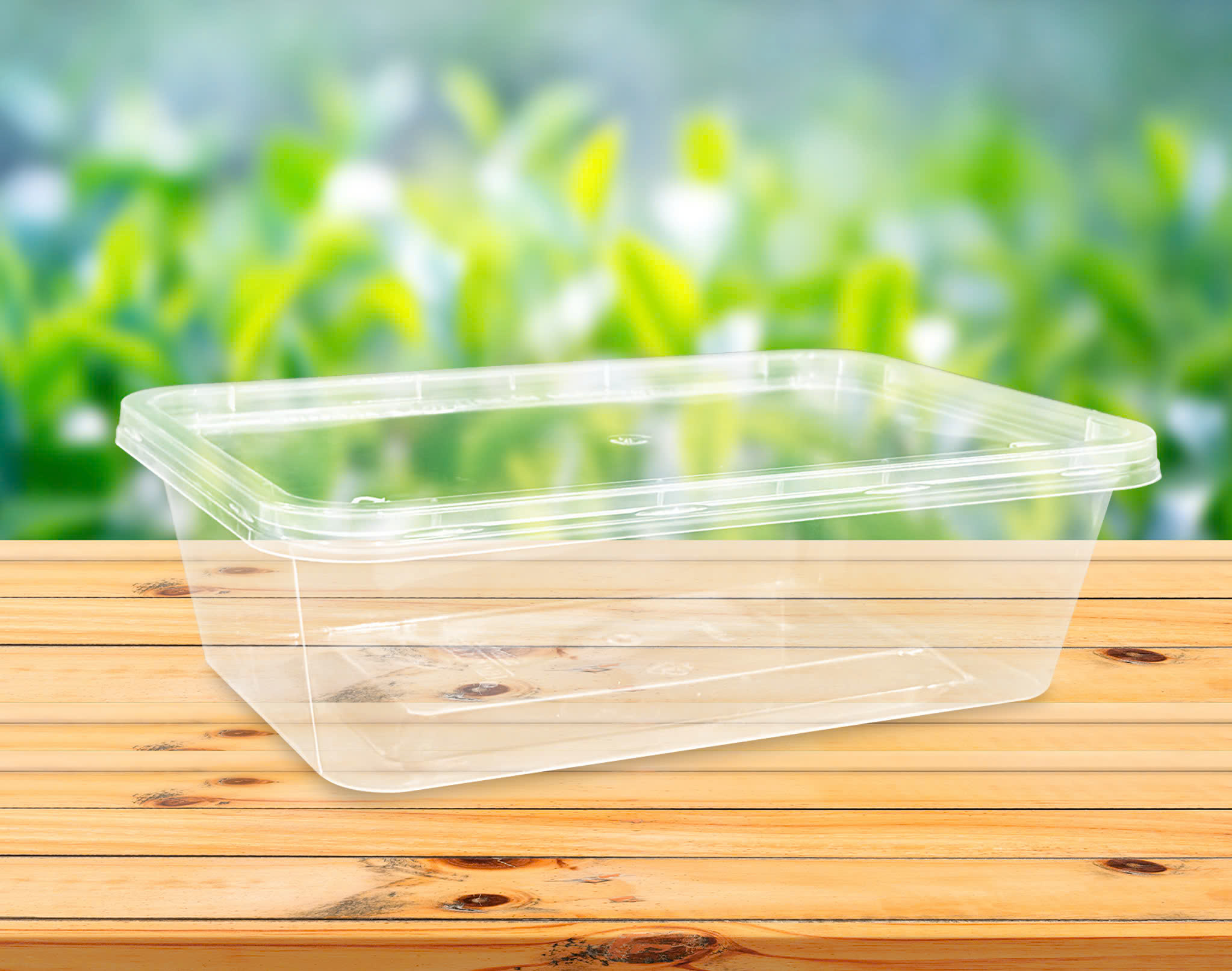 Hộp siêu mỏng chữ nhật 1000ml_thumbnail_2