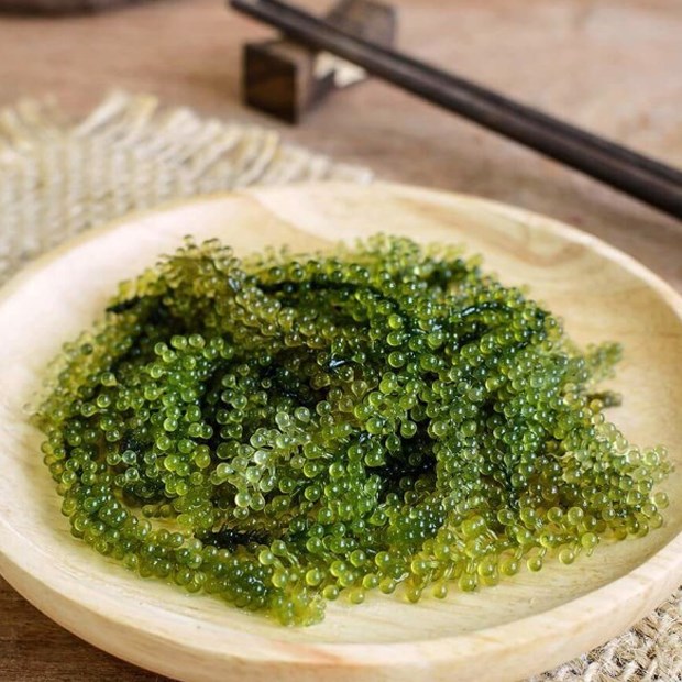 Rong nho tách nước Khánh Hoà_thumbnail_2