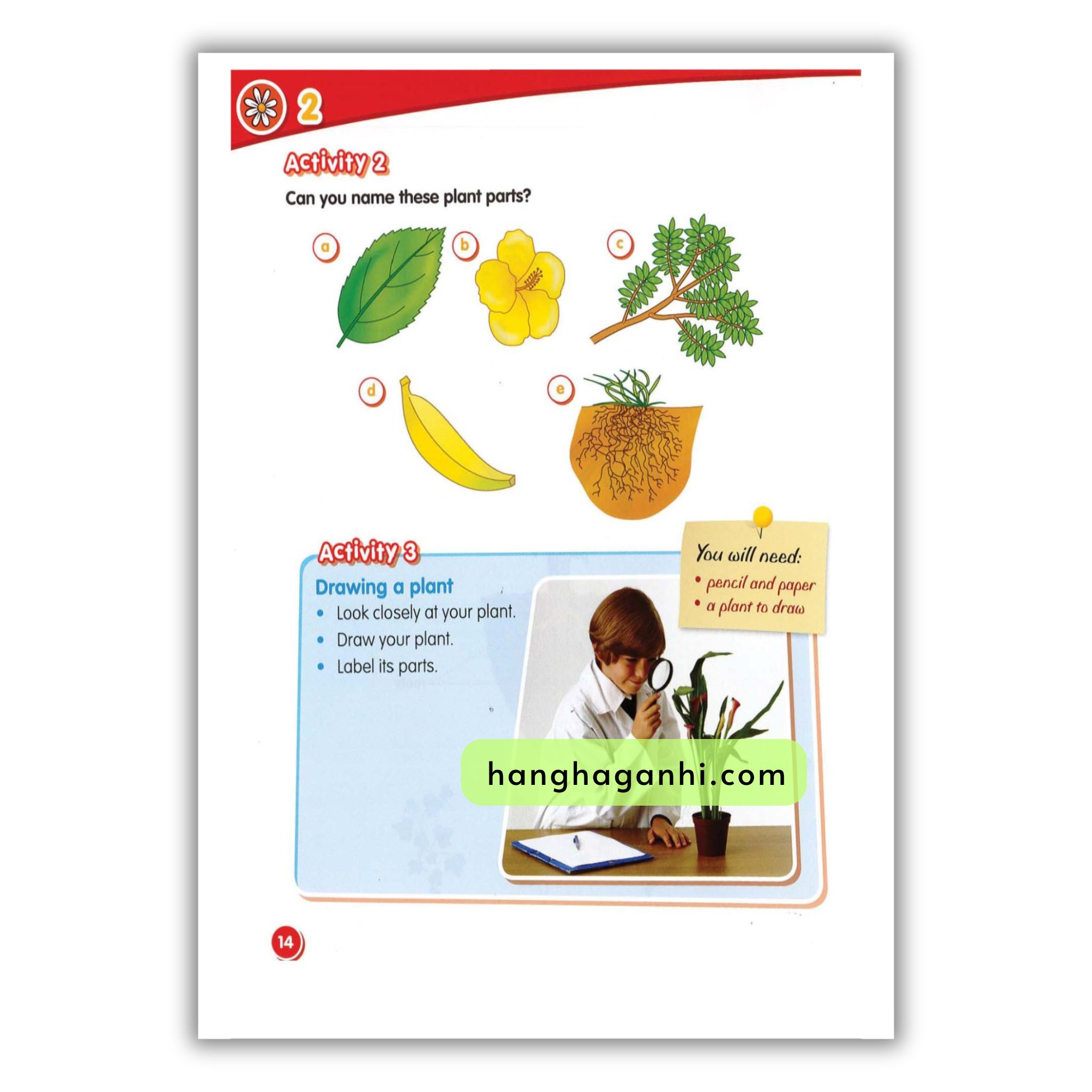 Macmillan Science 1 Pupil’s Book_thumbnail_11