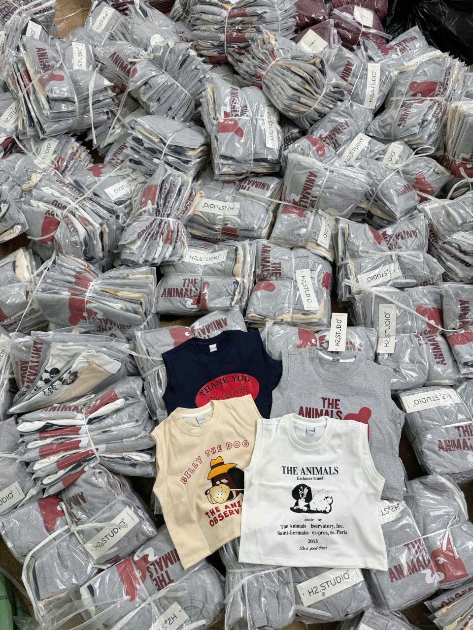 V71 SET 4 ÁO BA LỖ THE ANIMALS MÁC H2- A106.218