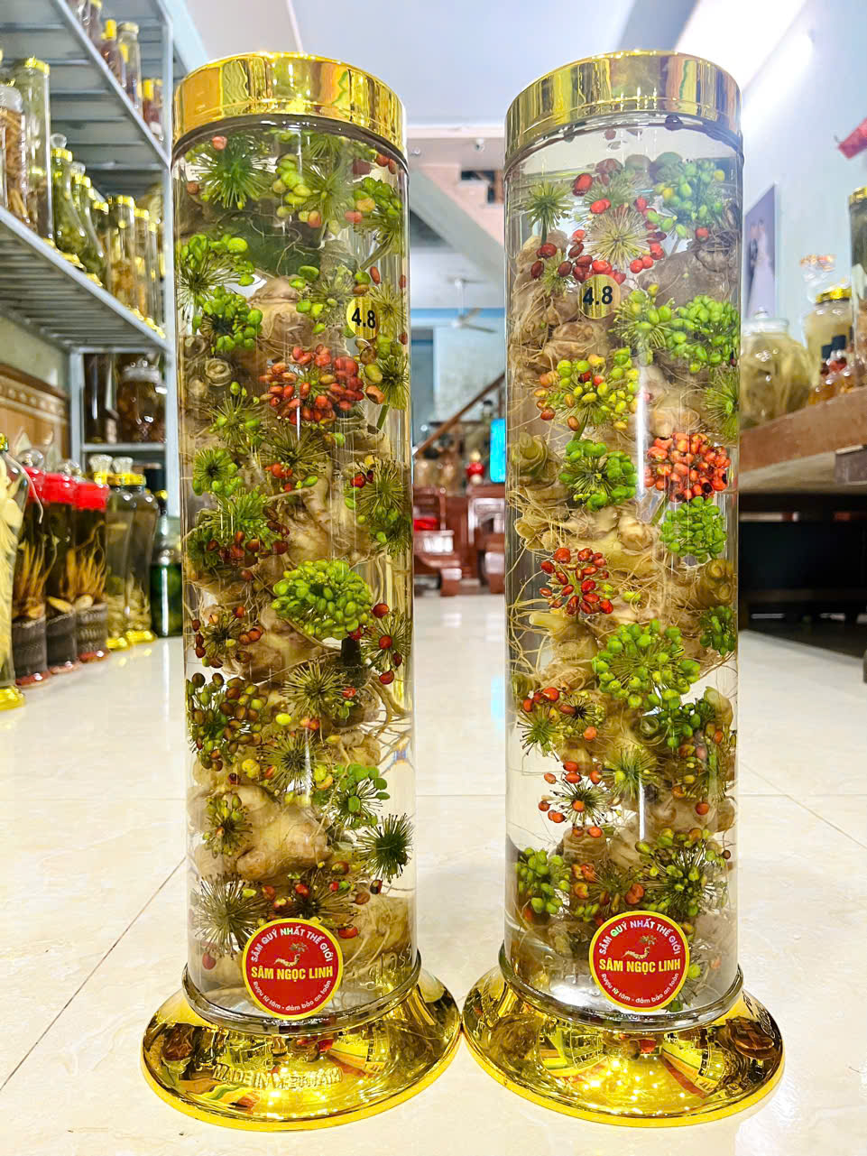 SÂM NGỌC LINH BONSAI 4,8L (Liên hệ báo giá)