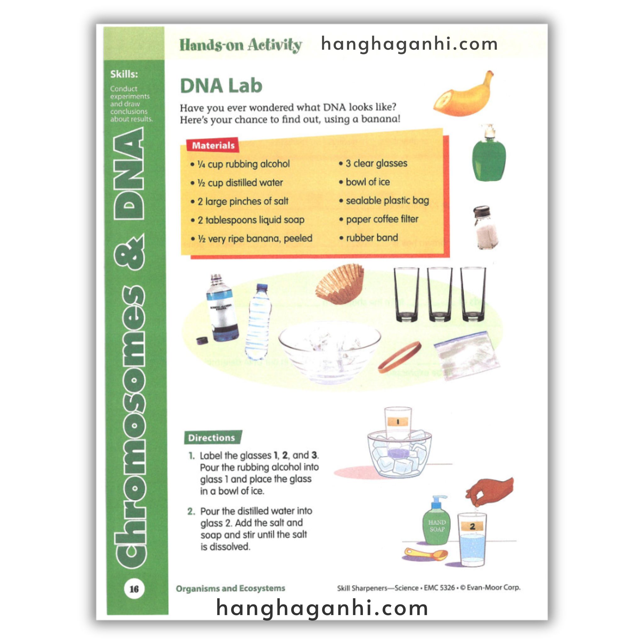 Skill Sharpeners Science Grade 6_thumbnail_16