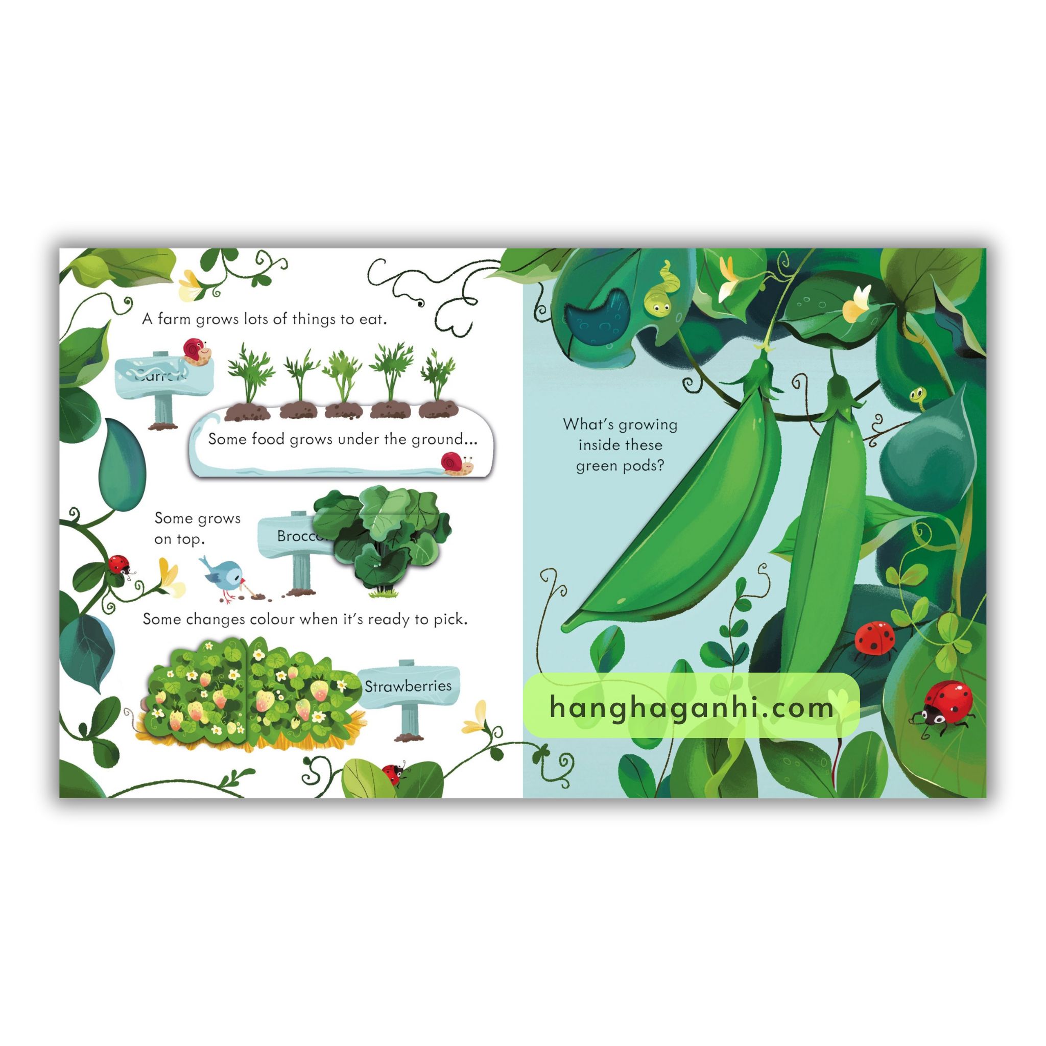 Usborne Peep Inside – Sách Nhập 6 cuốn ( kèm File nghe )_thumbnail_11