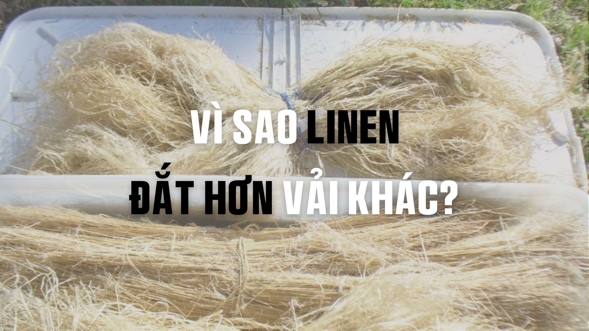 Vì sao vải 100% linen rất đắt hơn các loại vải khác?