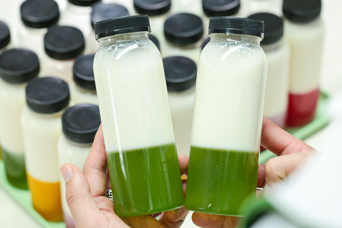 Cách làm thạch lá nếp không bị đắng, không hăng, màu xanh đẹp tự nhiên