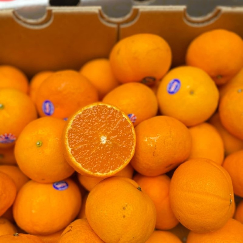 Quýt Úc Baby (Citrus)_thumbnail_3