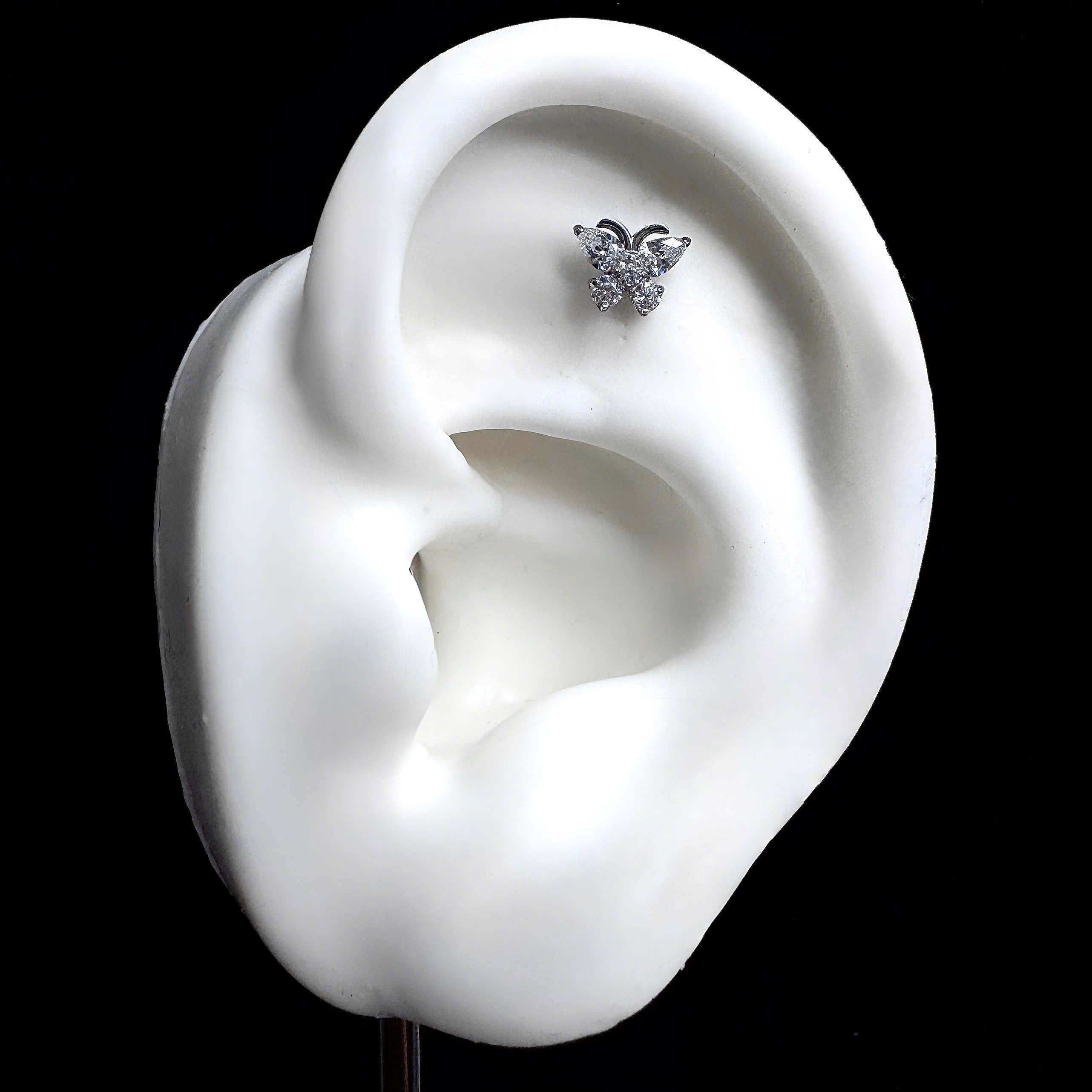 Khuyên kiểu titan bướm nhỏ râu_thumbnail_2