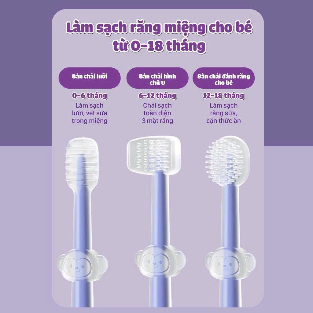 RƠ LƯỠI BÀN CHẢI 3 GIAI ĐOẠN_thumbnail_3