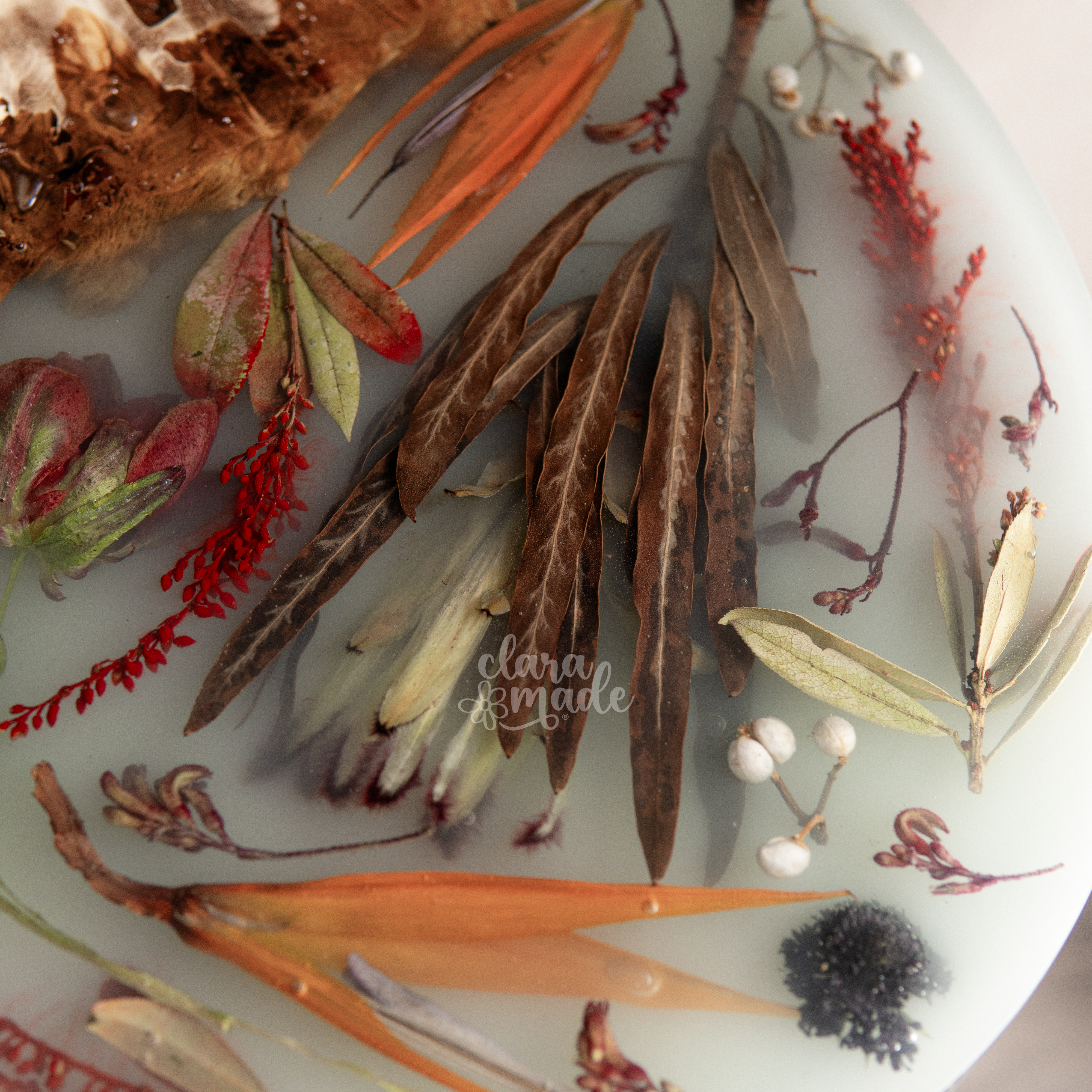 Bàn hoa khô Bloomside_thumbnail_2