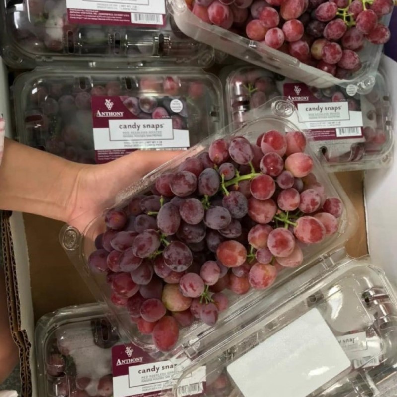 Nho Kẹo Mỹ (Anthony)