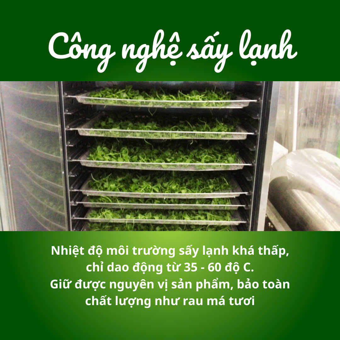 Bột Rau Má Huế OneLife (50 gói x 2g) /100gr_thumbnail_3