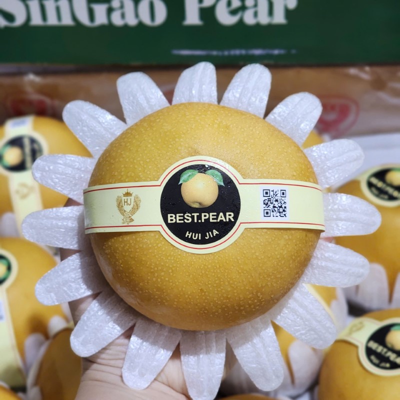 Lê Nâu (SinGao)_thumbnail_3