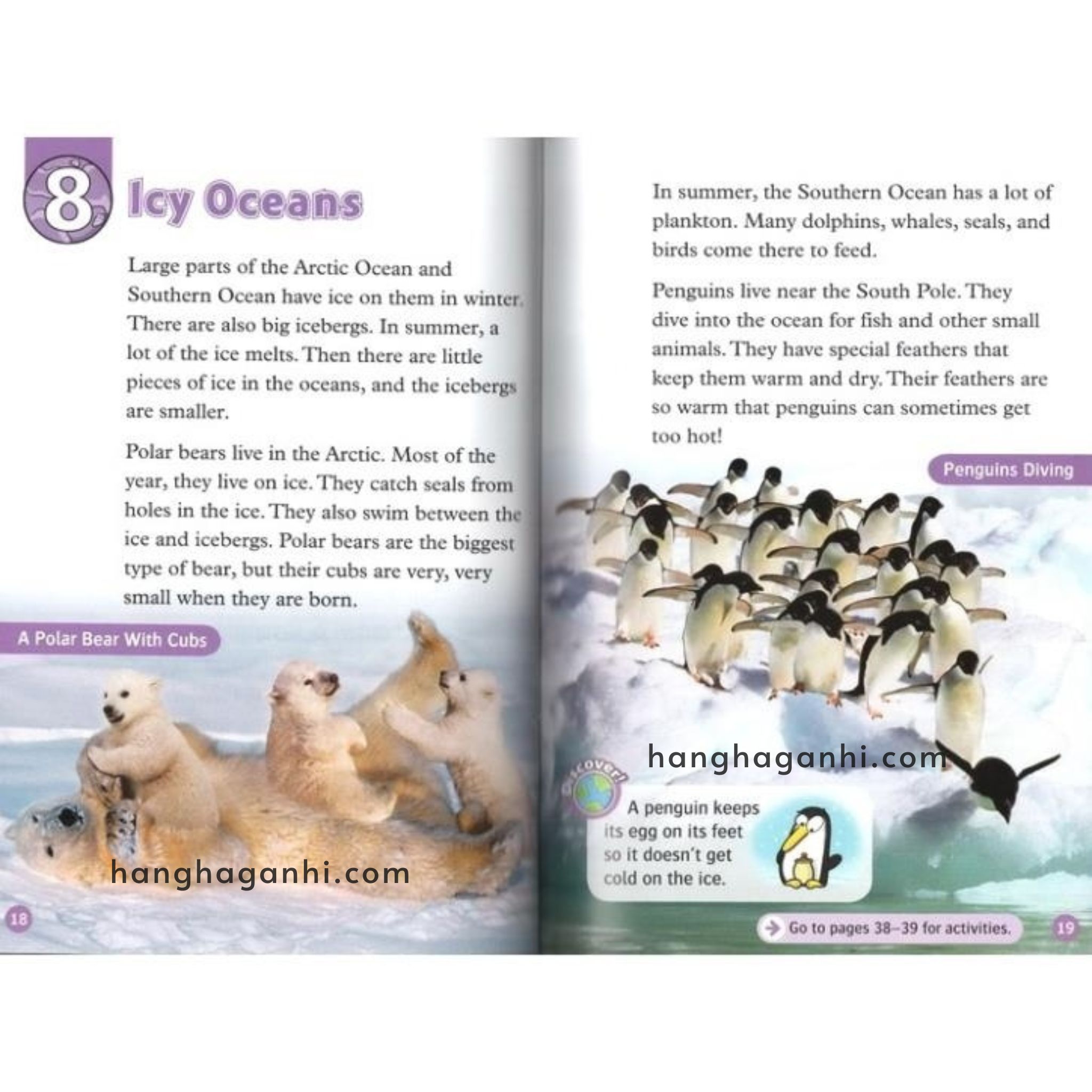 Bộ 20 Cuốn Oxford Read and Discover-Read and Imagine Level 4 – Sách Nhập nguyên seal kèm file nghe_thumbnail_2