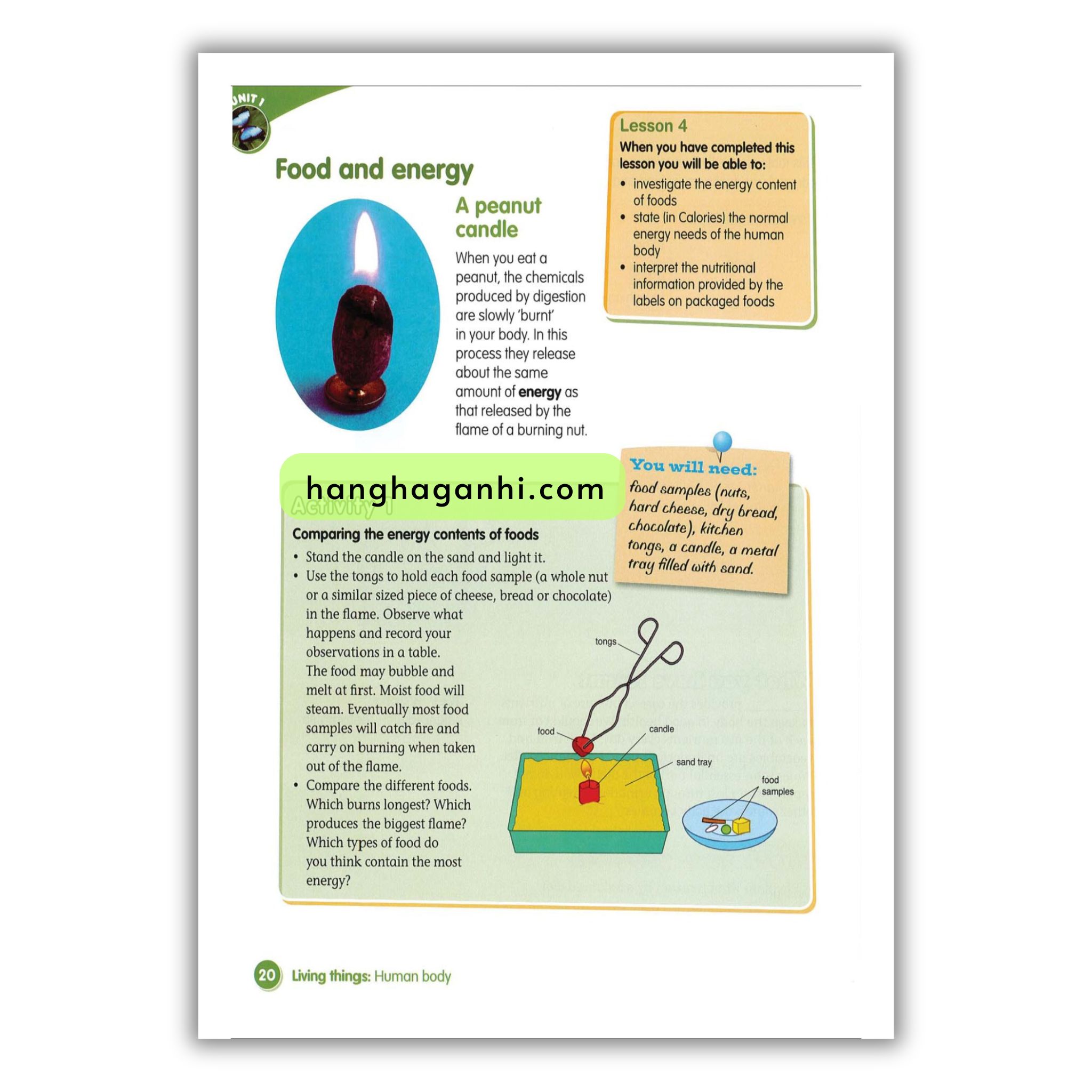 Macmillan Science 5 Pupil’s book_thumbnail_14