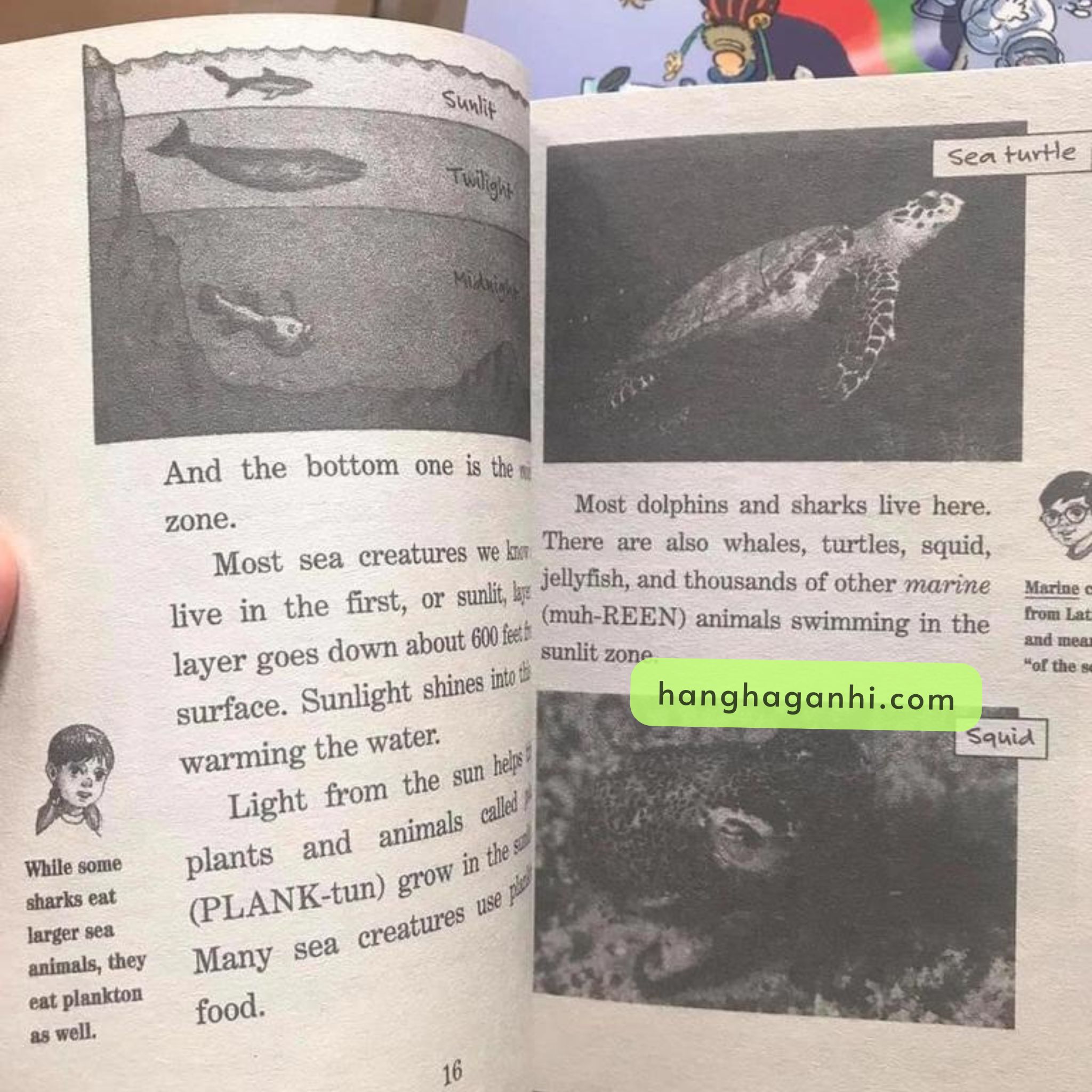 MAGIC TREE HOUSE PHẦN 3 gồm 44 quyển mới nhất (có 40/44 file nghe)_thumbnail_6