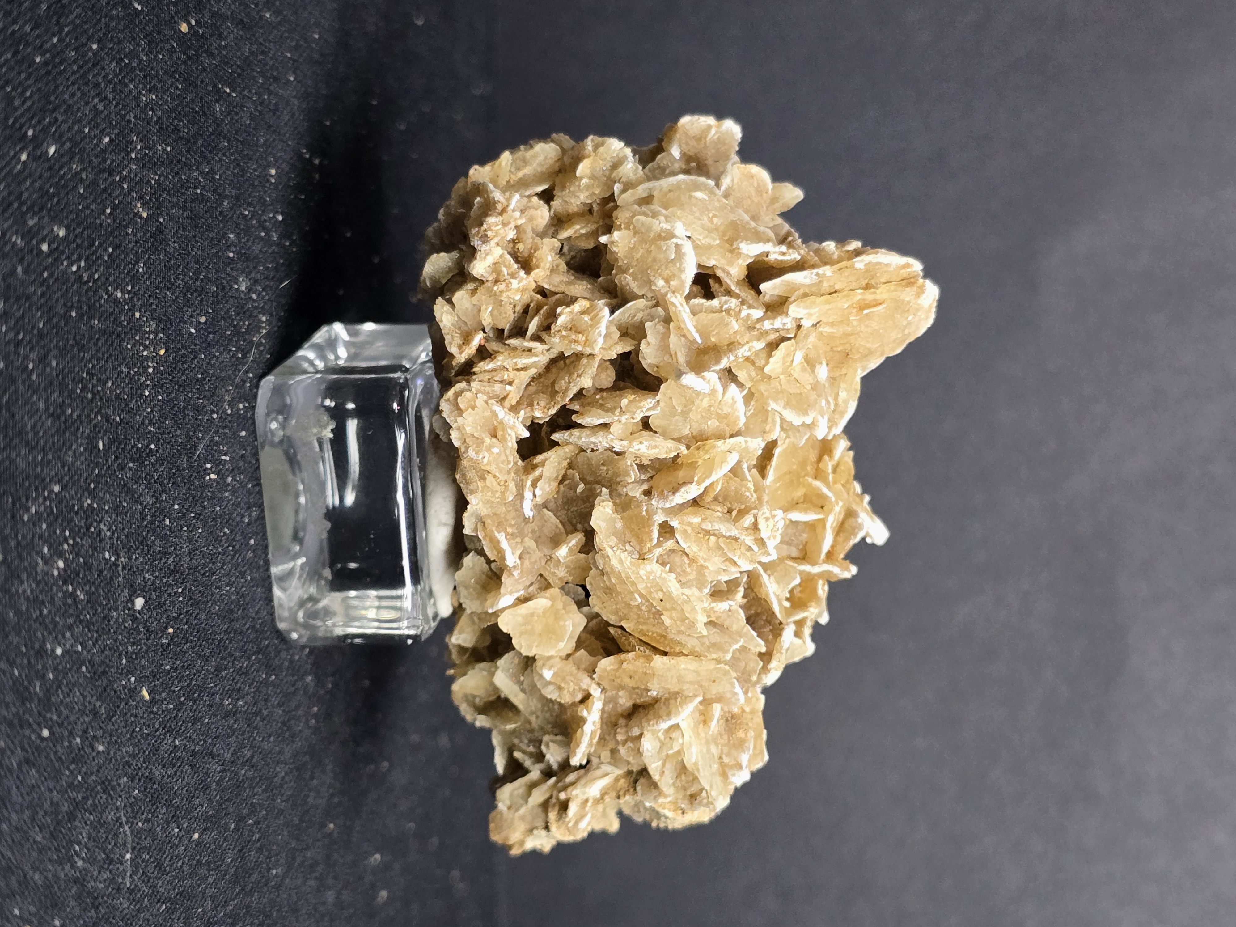 Tinh Thể Hoa Hồng Sa Mạc Desert Rose (có phản ứng UV) - Nội Mông_thumbnail_31