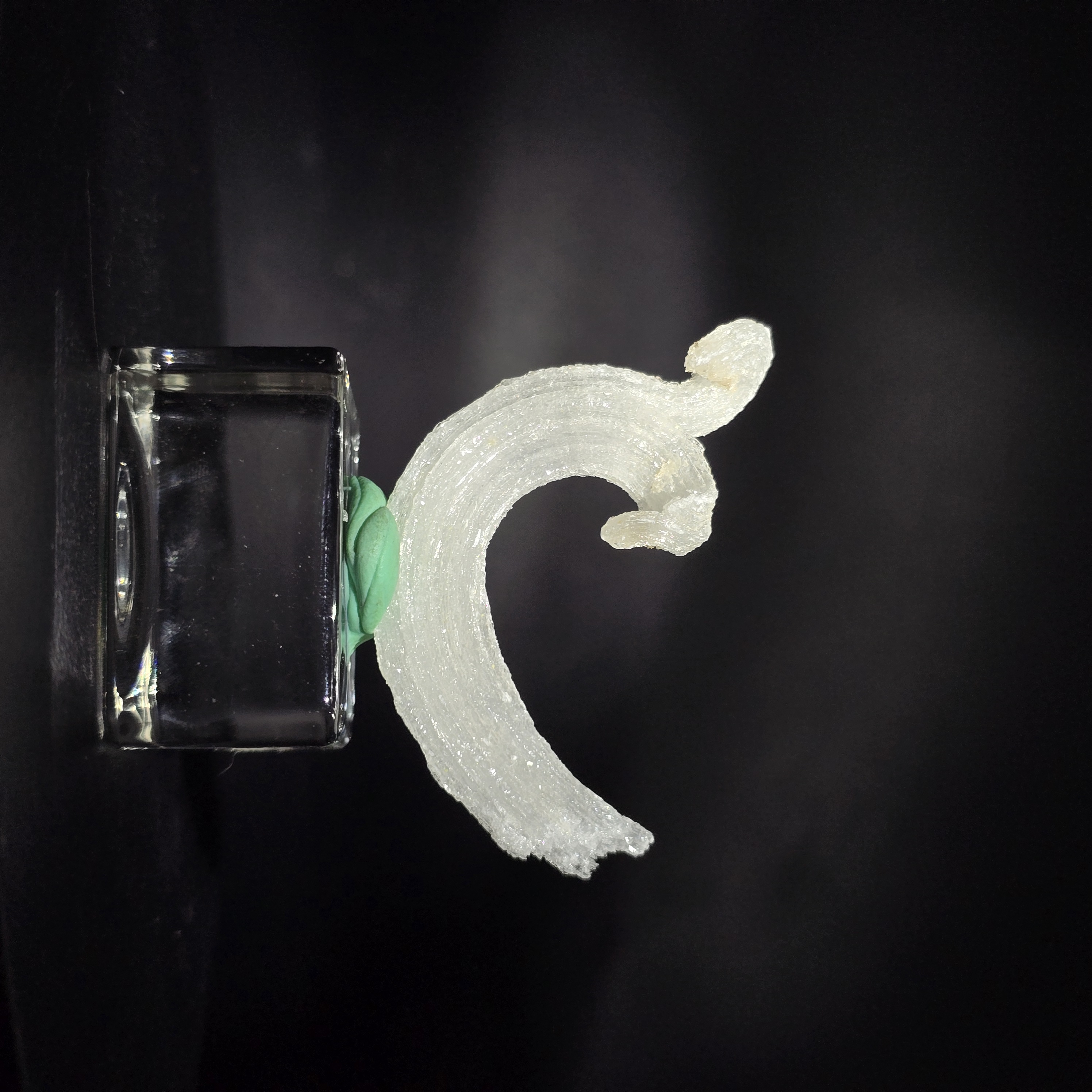 Ram's-horn Selenite - Selenite sừng cừu - Quảng Đông, Trung Quốc