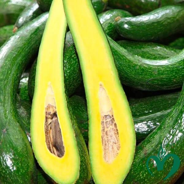 Bơ Booth_thumbnail_1