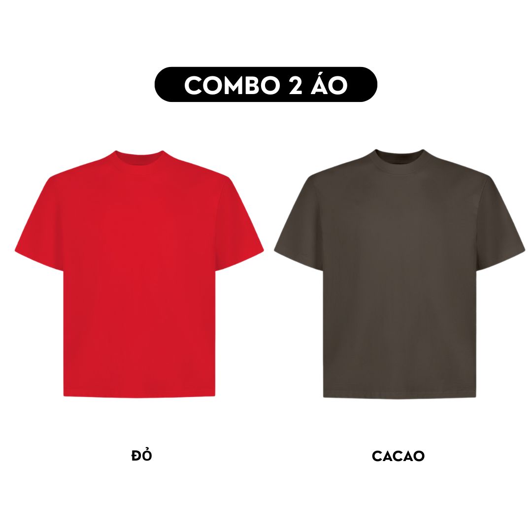 Combo 2 Áo thun trơn form boxy AXT01_thumbnail_11