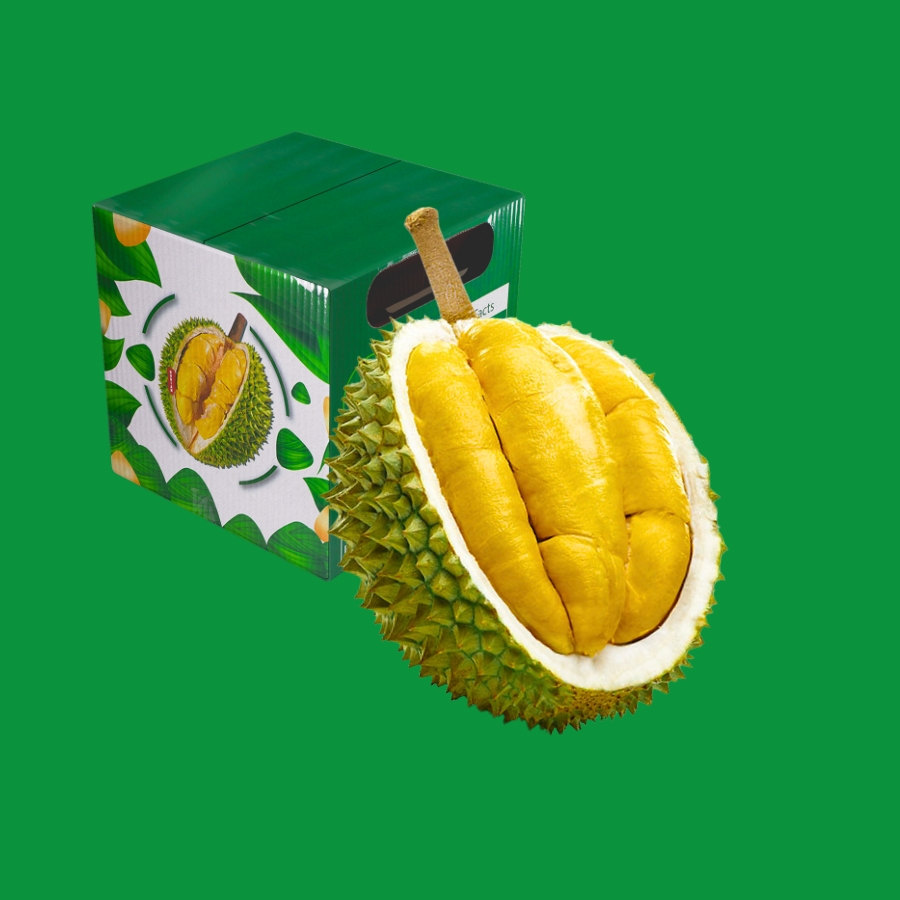 Trái - Sầu riêng Musang King - Khui sầu