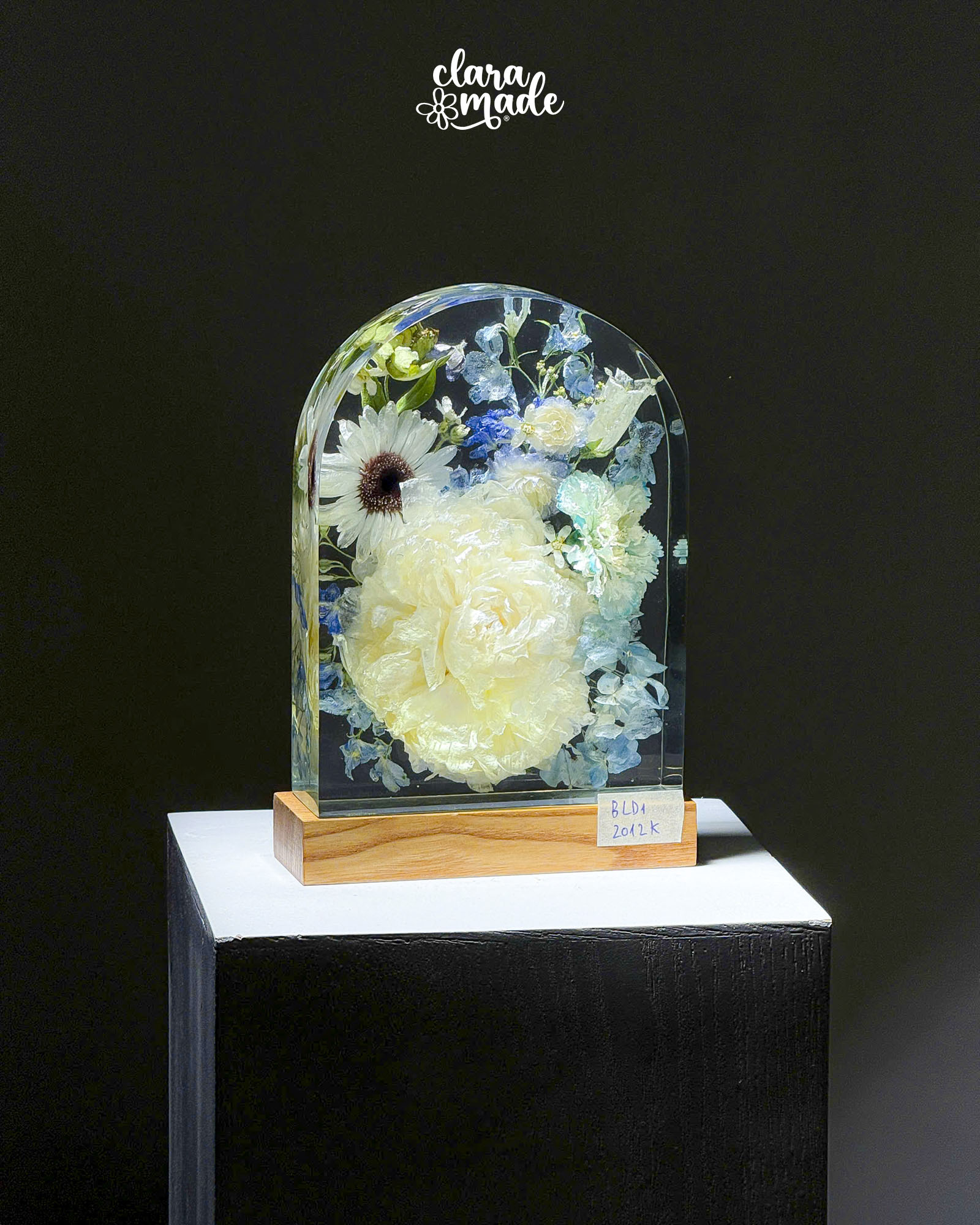 Đèn hoa khô Bloomlight BLD12012K