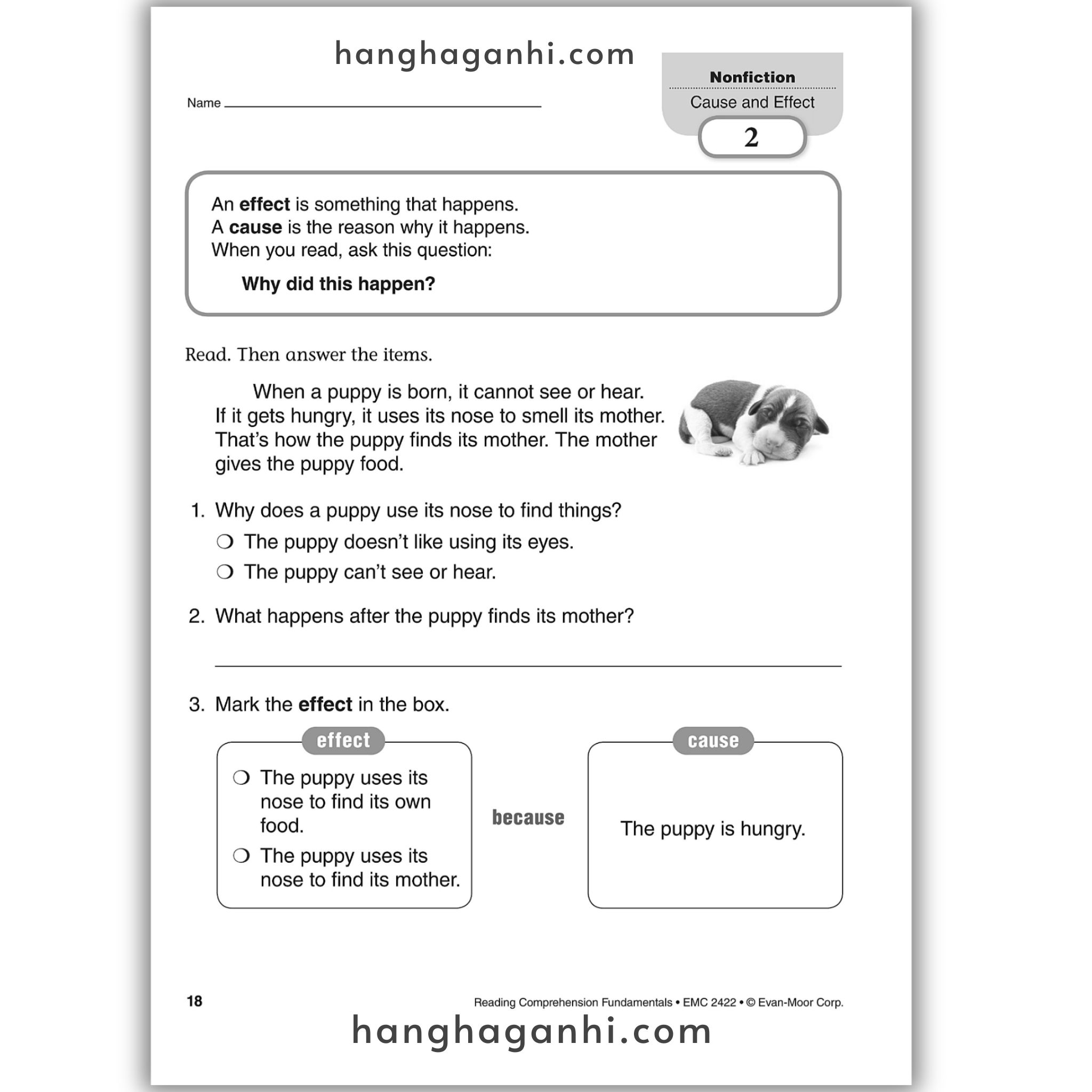 Reading Comprehension Fundamentals grade 2_thumbnail_19