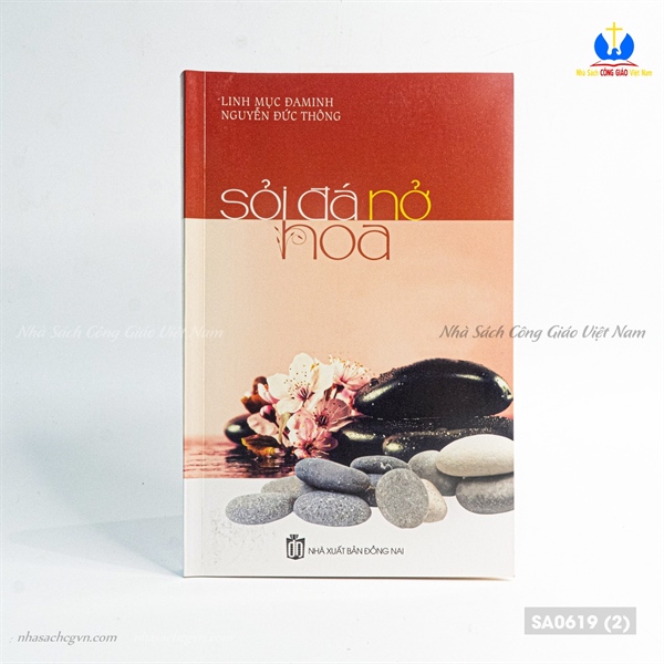 Sỏi đá nở hoa ✔