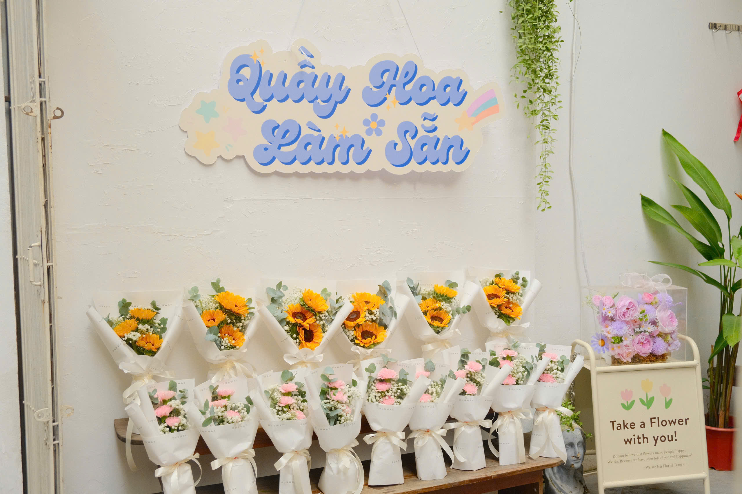 Hoa hướng dương_13