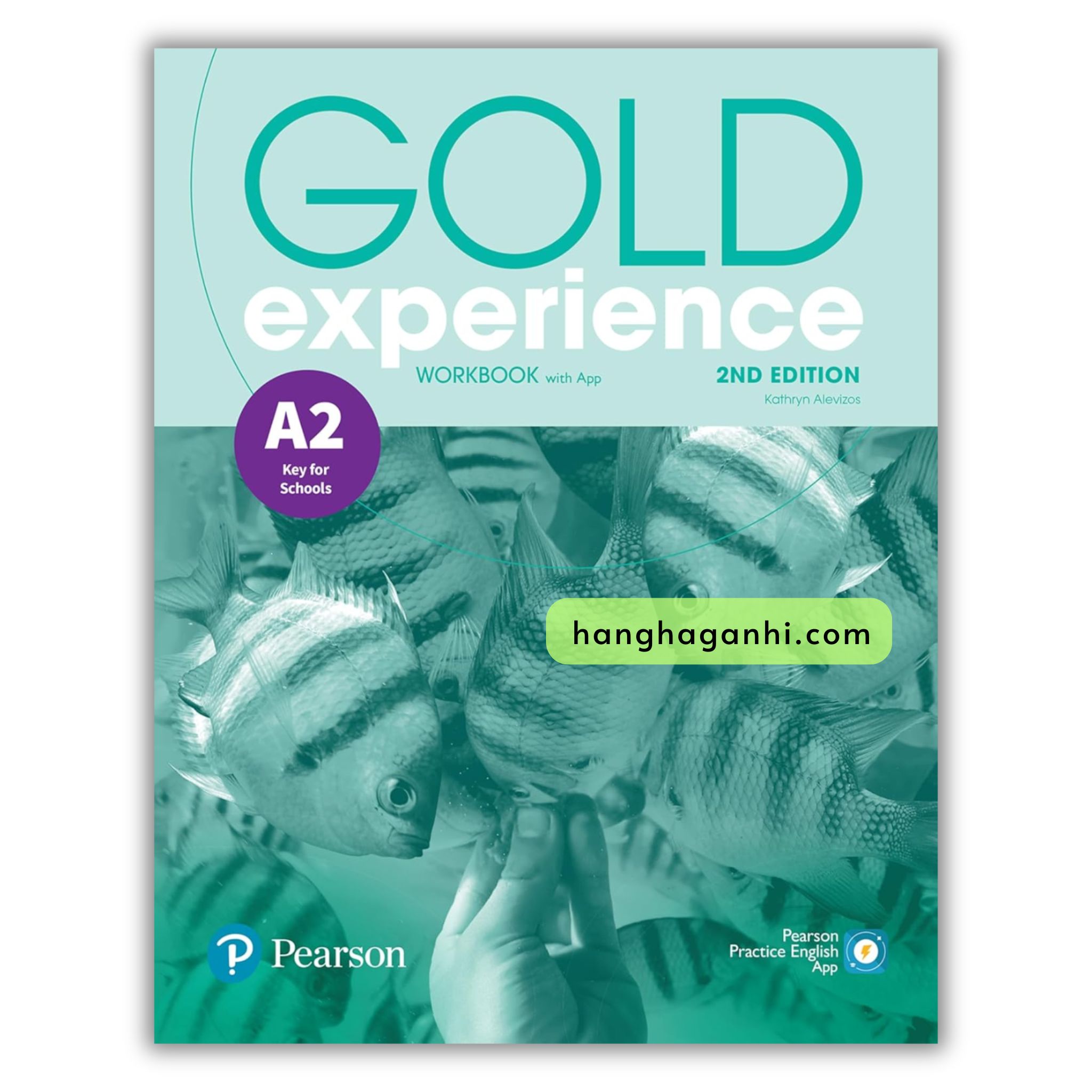 Gold Experience A2 Workbook 2nd Edition_thumbnail_0