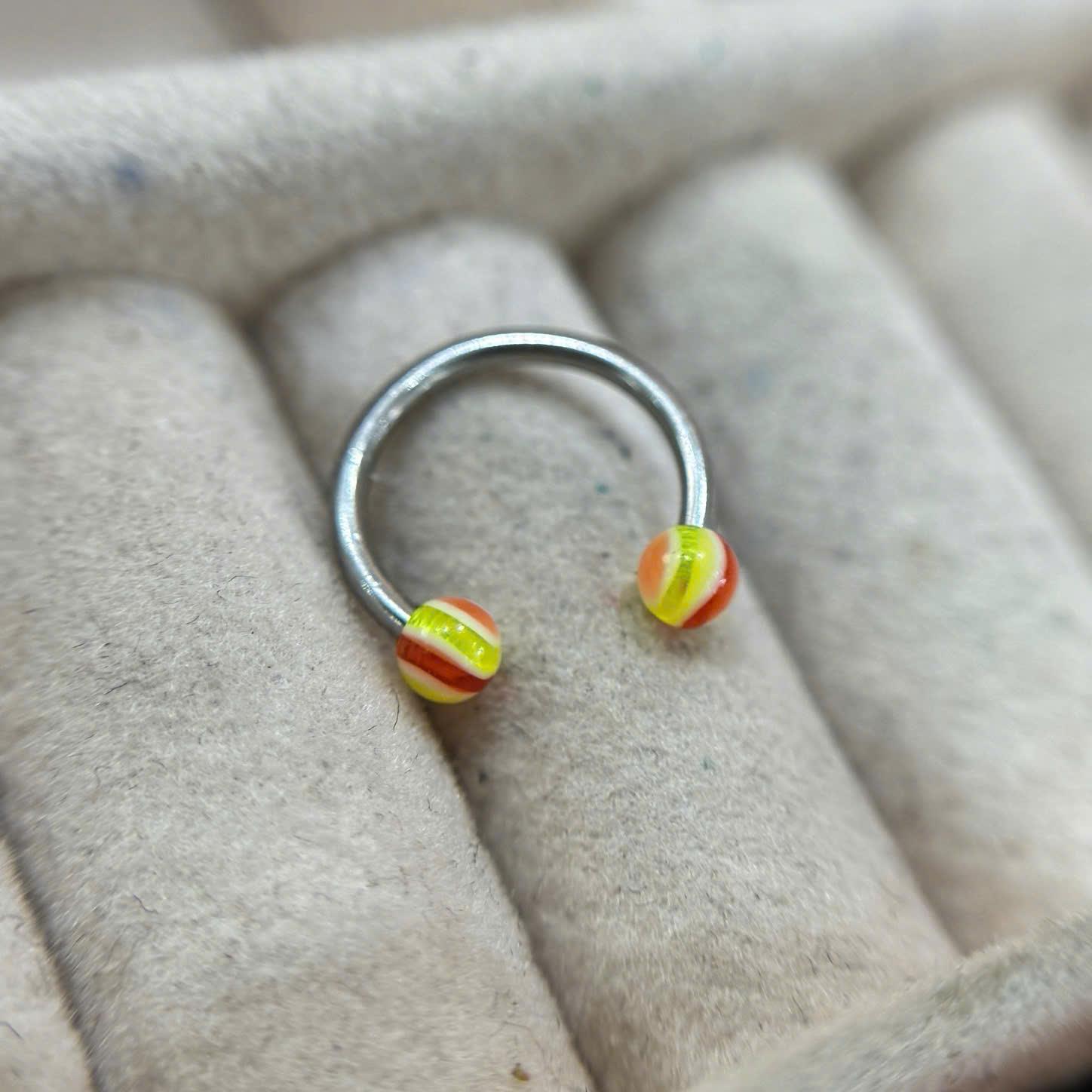 Septum sọc vàng đỏ.