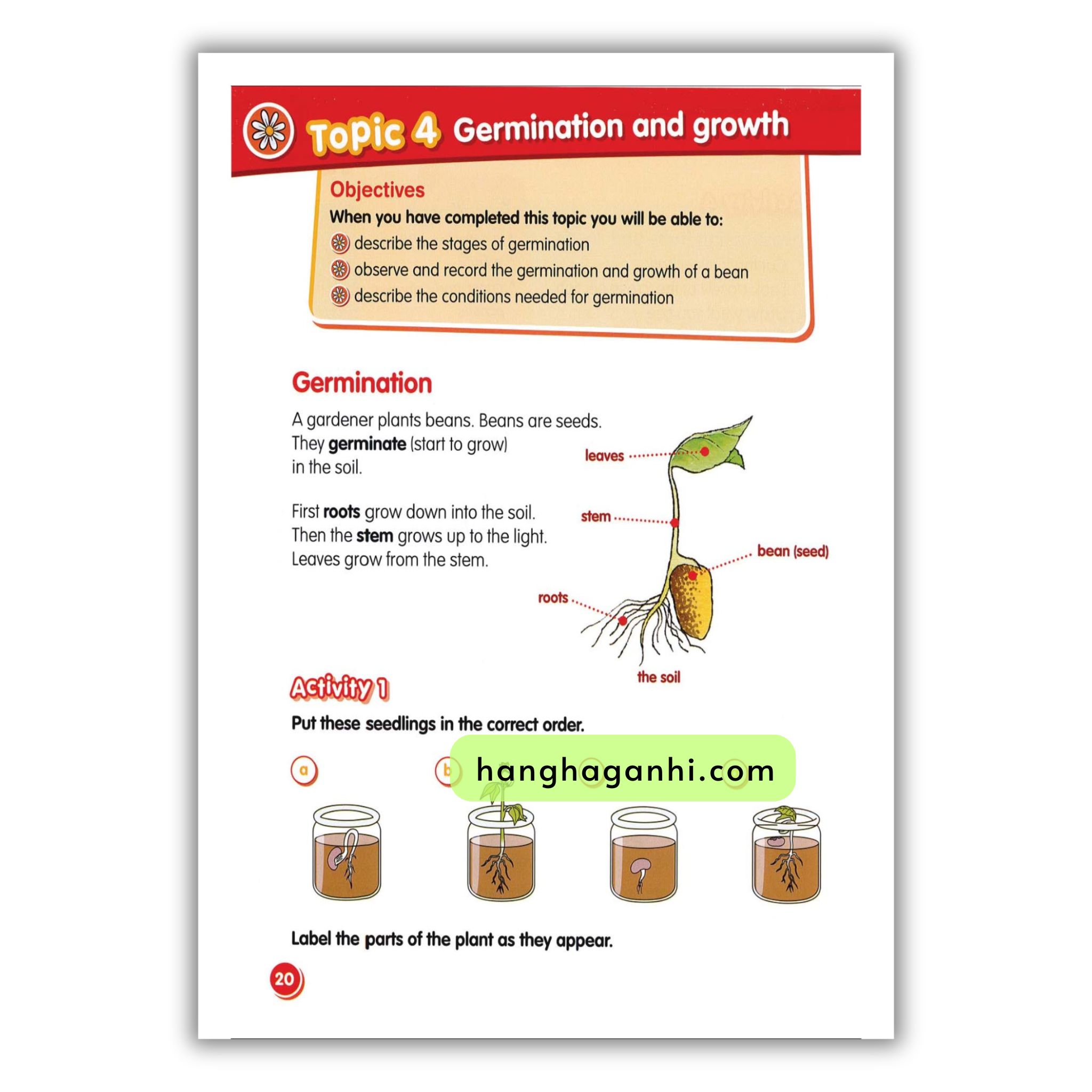Macmillan Science 3 Pupil’s book_thumbnail_15