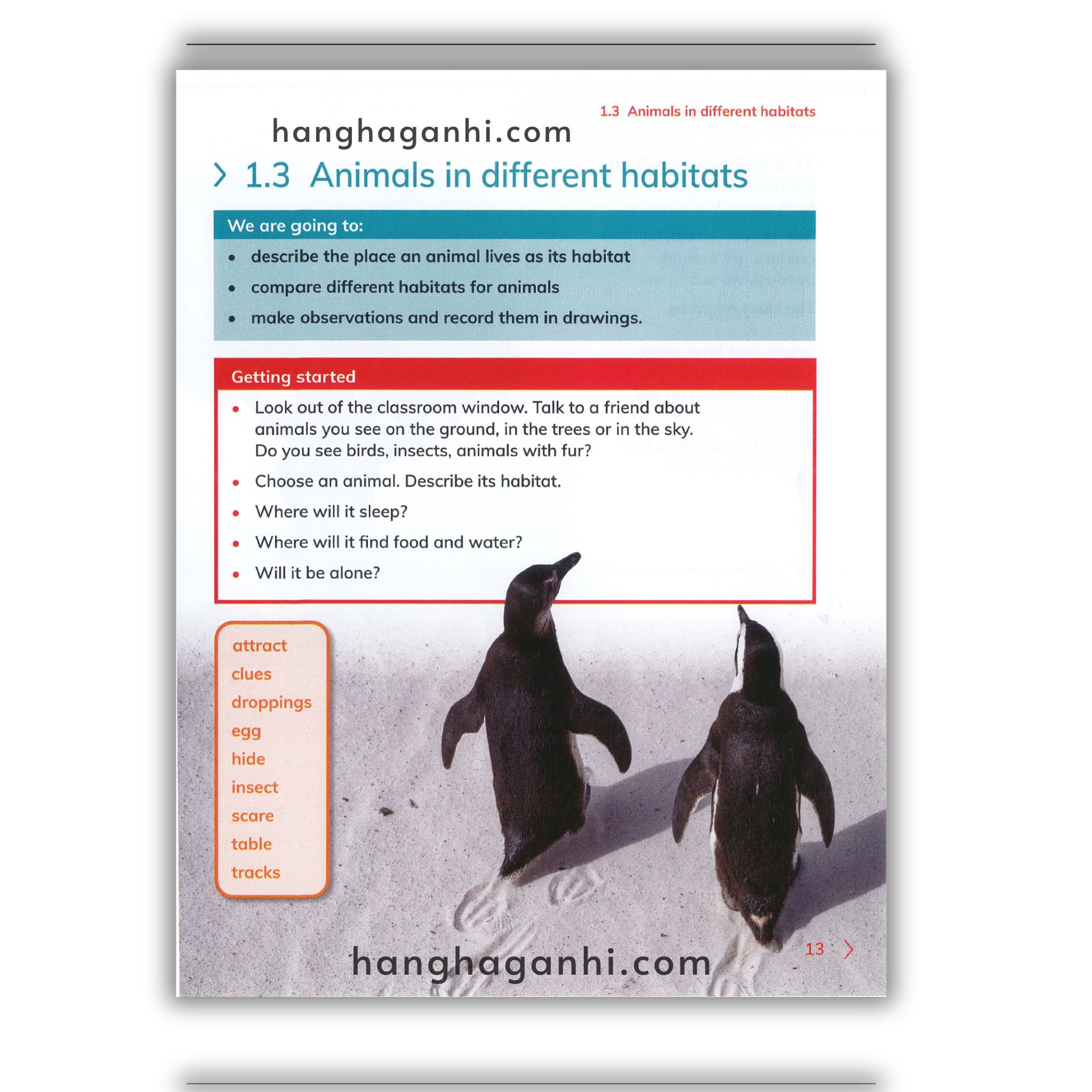 Cambridge Level 2 Primary Science Learner’s Book 2nd edition 2021_thumbnail_13