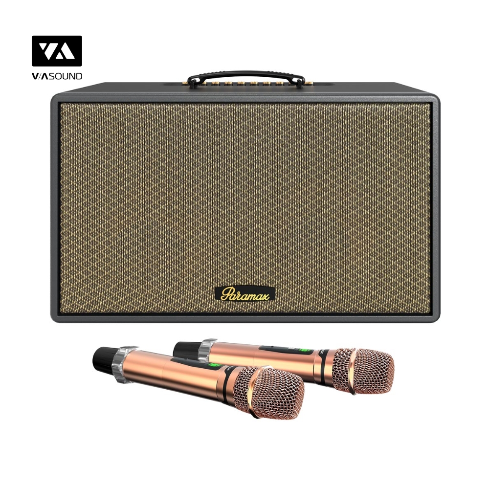 Loa Xách Tay PARAMAX SAGA