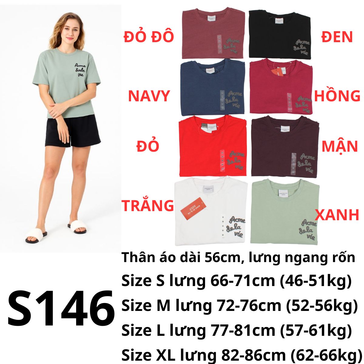 S146 Sét bộ thun