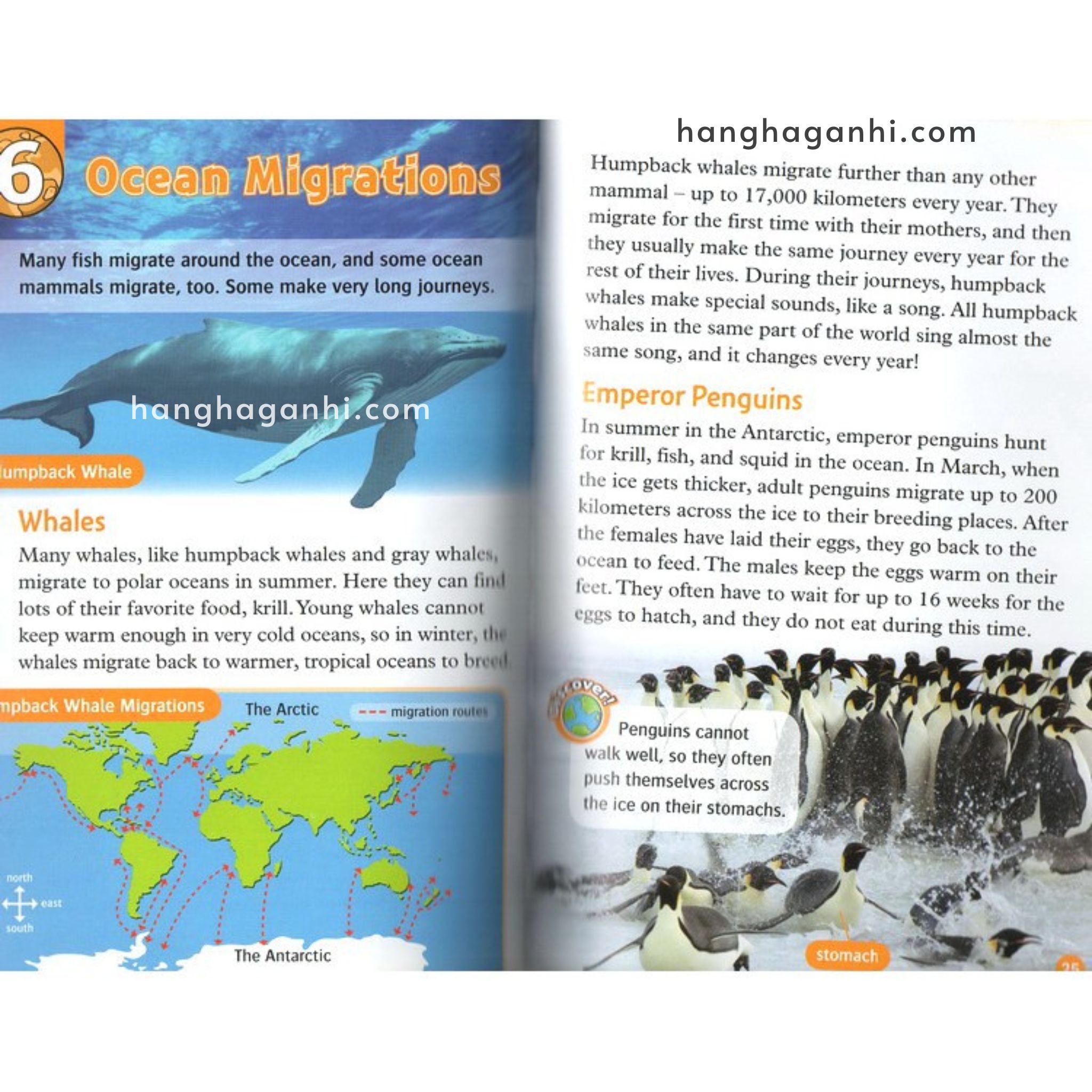 Bộ 14 Cuốn Oxford Read and Discover-Read and Imagine Level 5 – Sách Nhập nguyên seal kèm file nghe_thumbnail_7