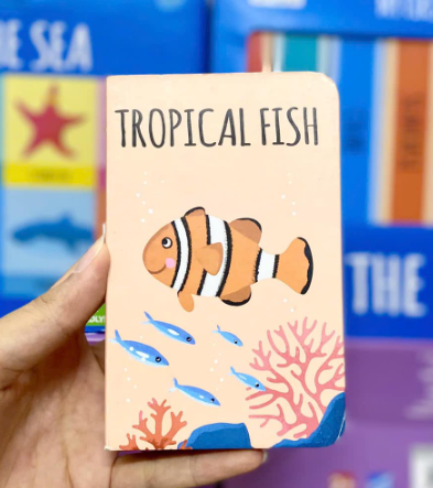 TROPICAL FISH ( The Sea Library)