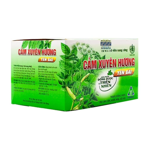 Thuốc Cảm Xuyên Hương