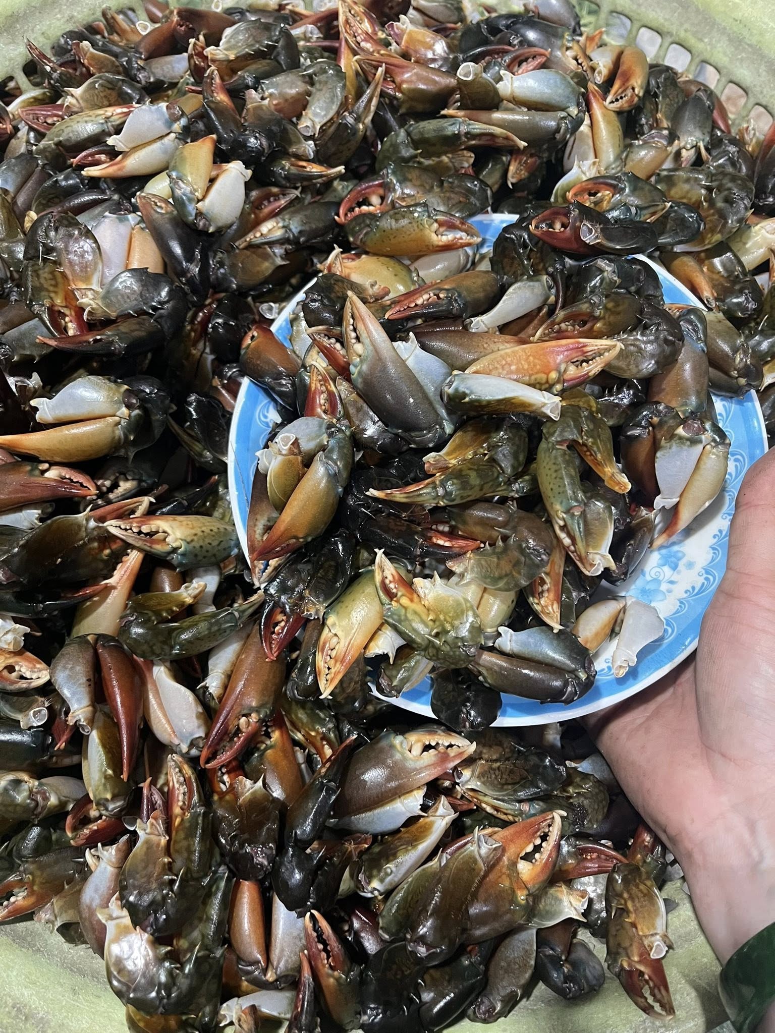 Thịt Càng Cua Rút Xương_thumbnail_3