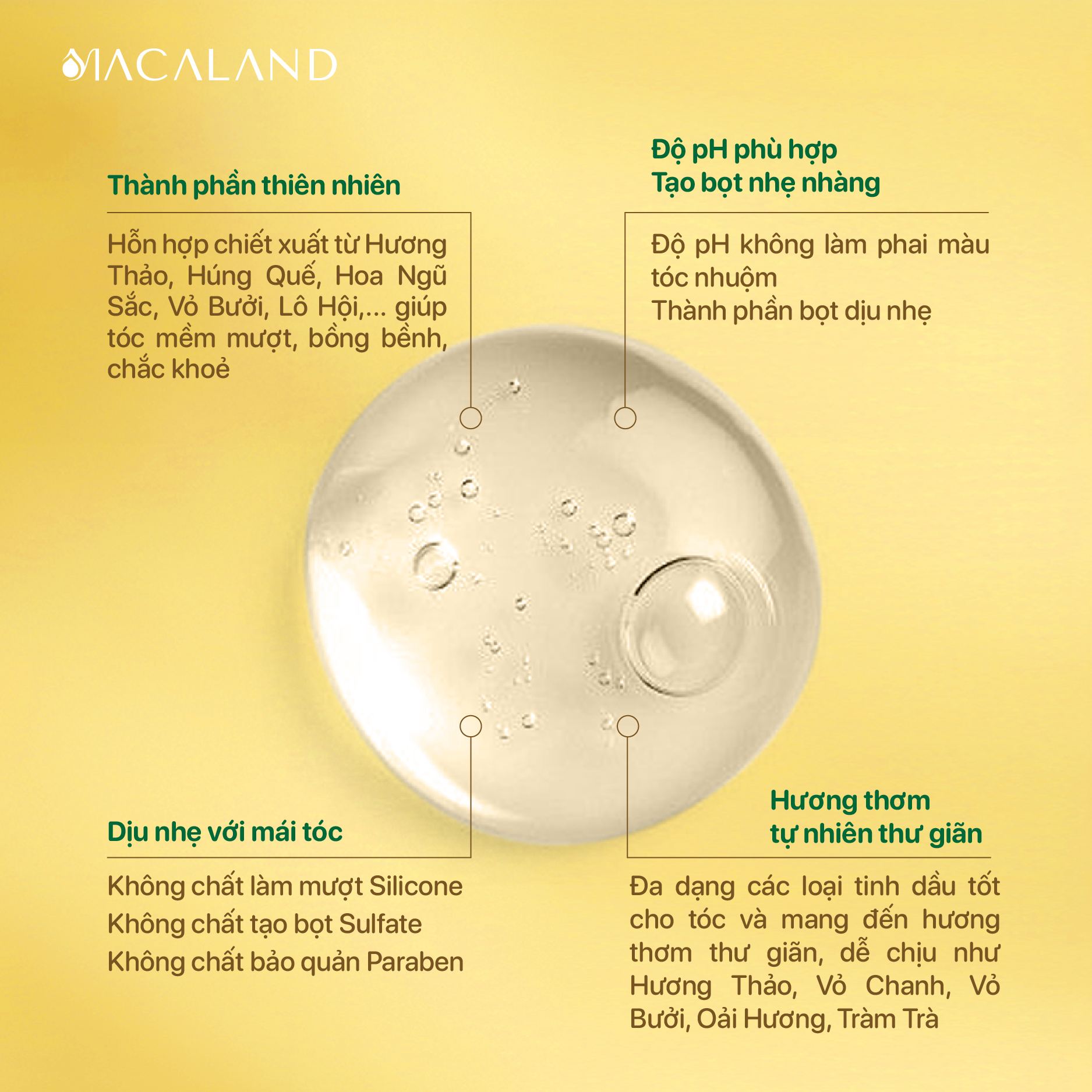 Dầu gội Dưỡng Tóc Mắc Ca MACALAND 500ml dưỡng tóc chắc khỏe, phục hồi hư tổn_thumbnail_3