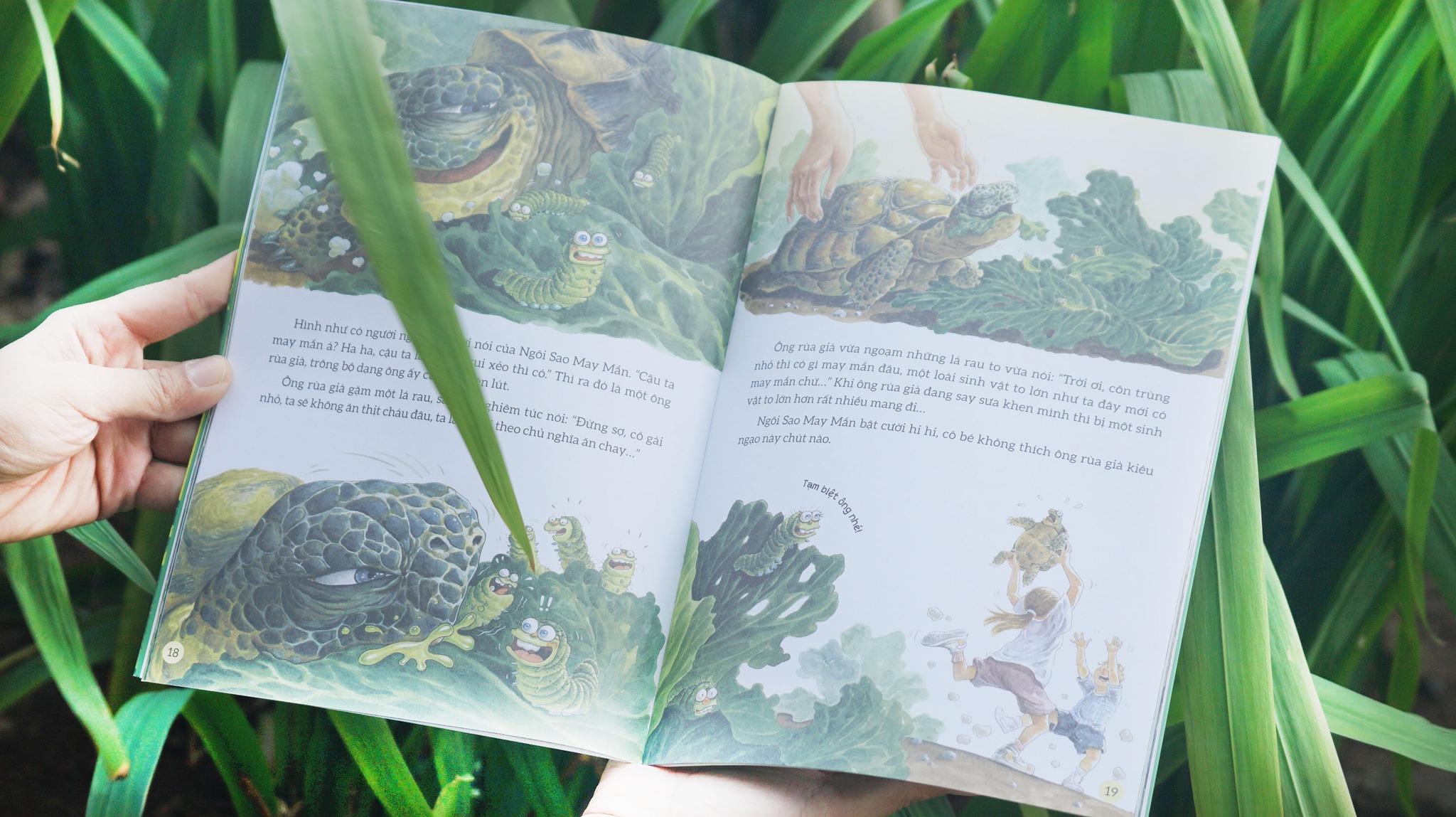 Combo 4 cuốn Truyện tranh khoa học về các loài côn trùng._thumbnail_1