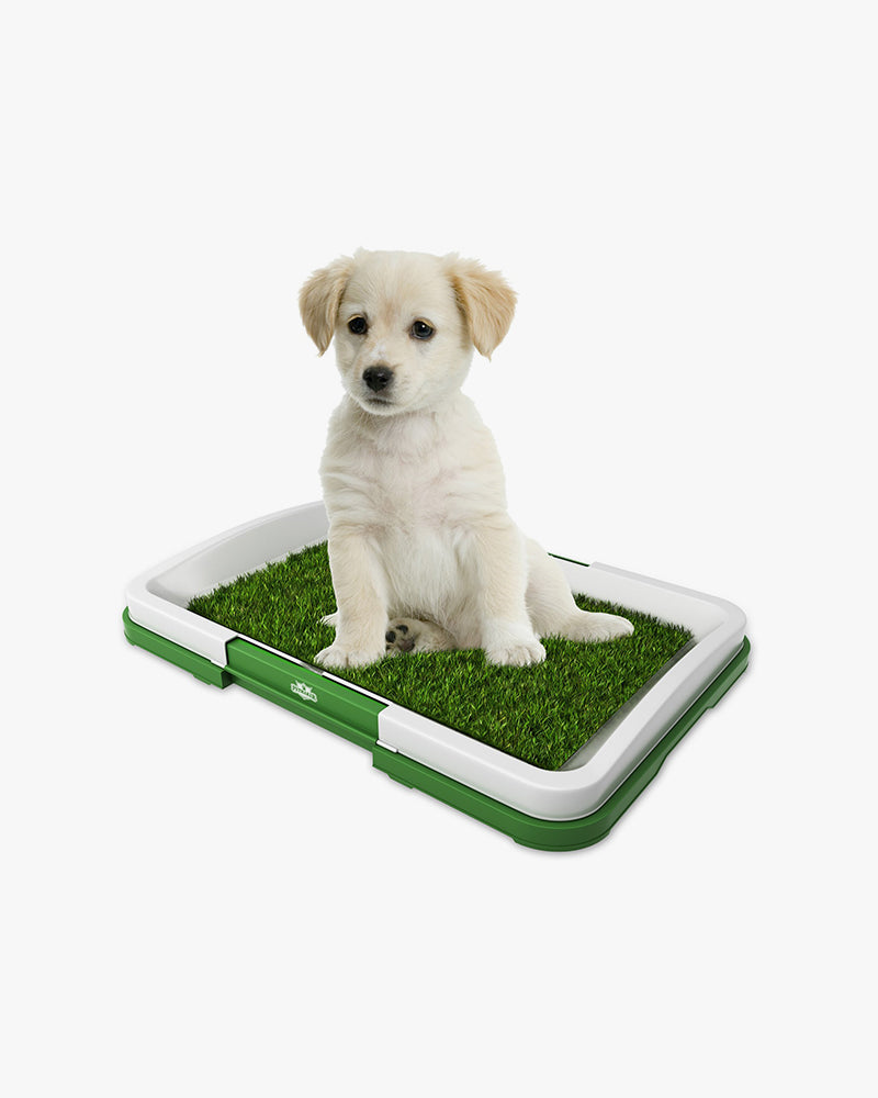 Artificial Turf Pet Grass Mat