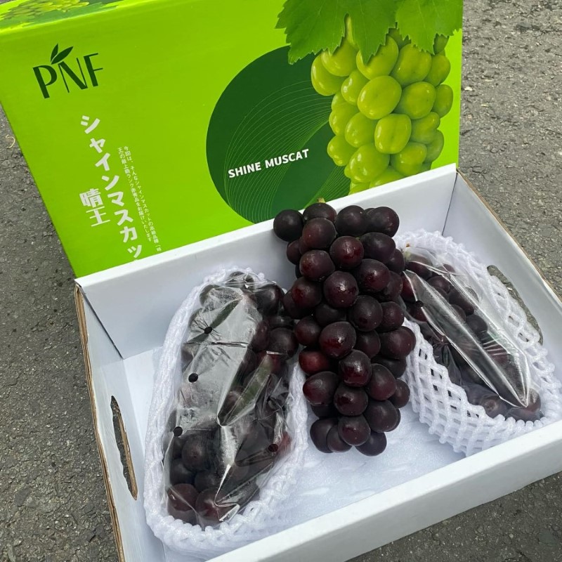 Nho Mẫu Đơn Đen (PNF)_thumbnail_3