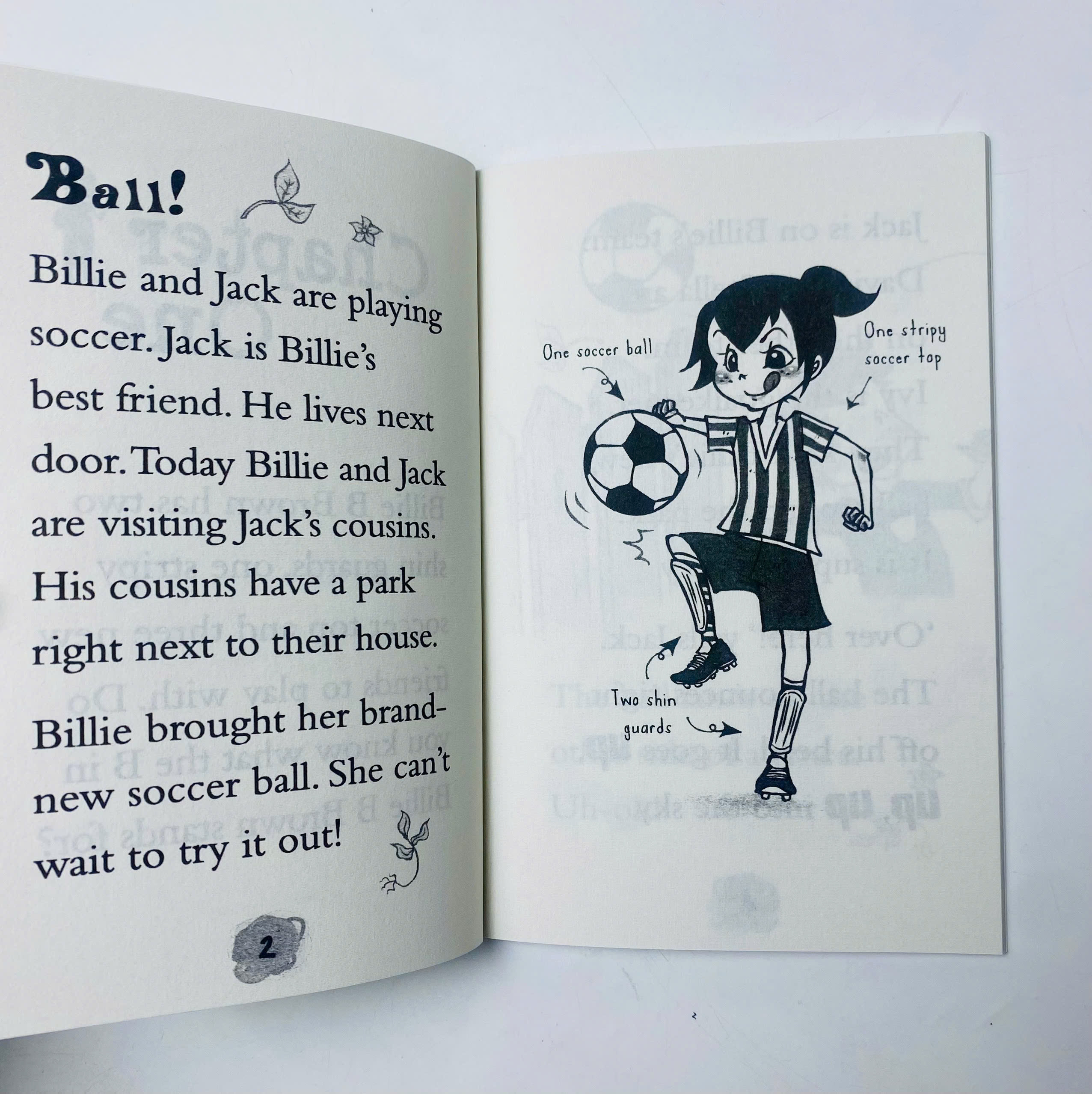 Billie B Brown 23 books, sách Tiếng Anh nhập khẩu nguyên seal bộ 23 cuốn_thumbnail_9