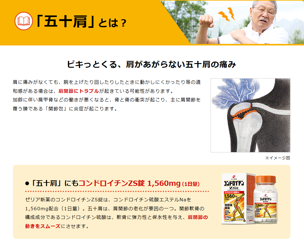 Viên uống xương khớp Chondroitin ZS_thumbnail_6