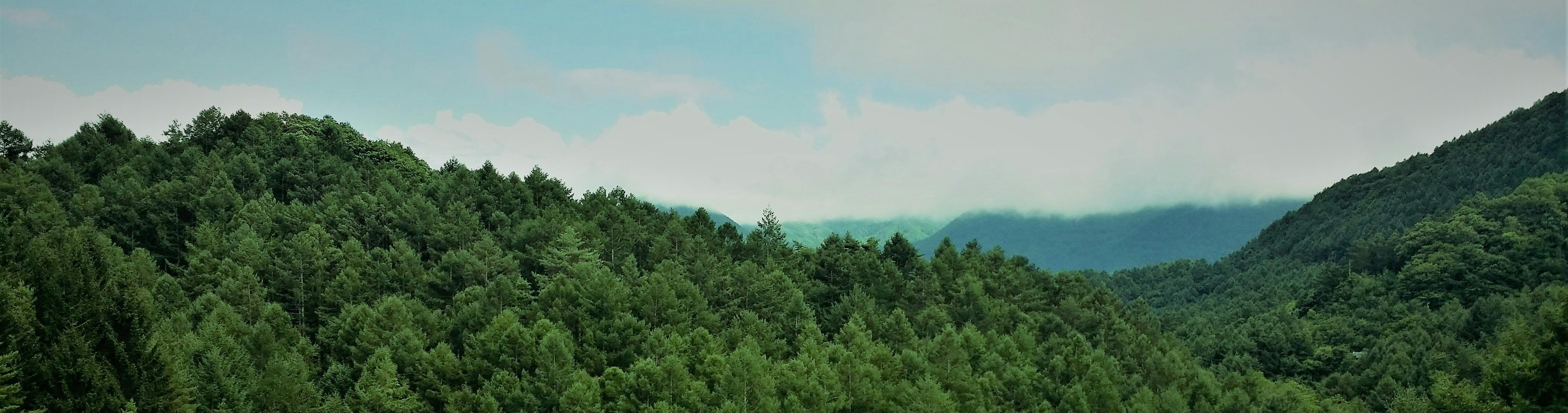 pexels-megapixel-1481581(1)