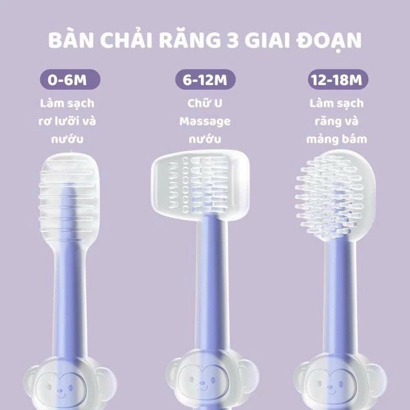 RƠ LƯỠI BÀN CHẢI 3 GIAI ĐOẠN
