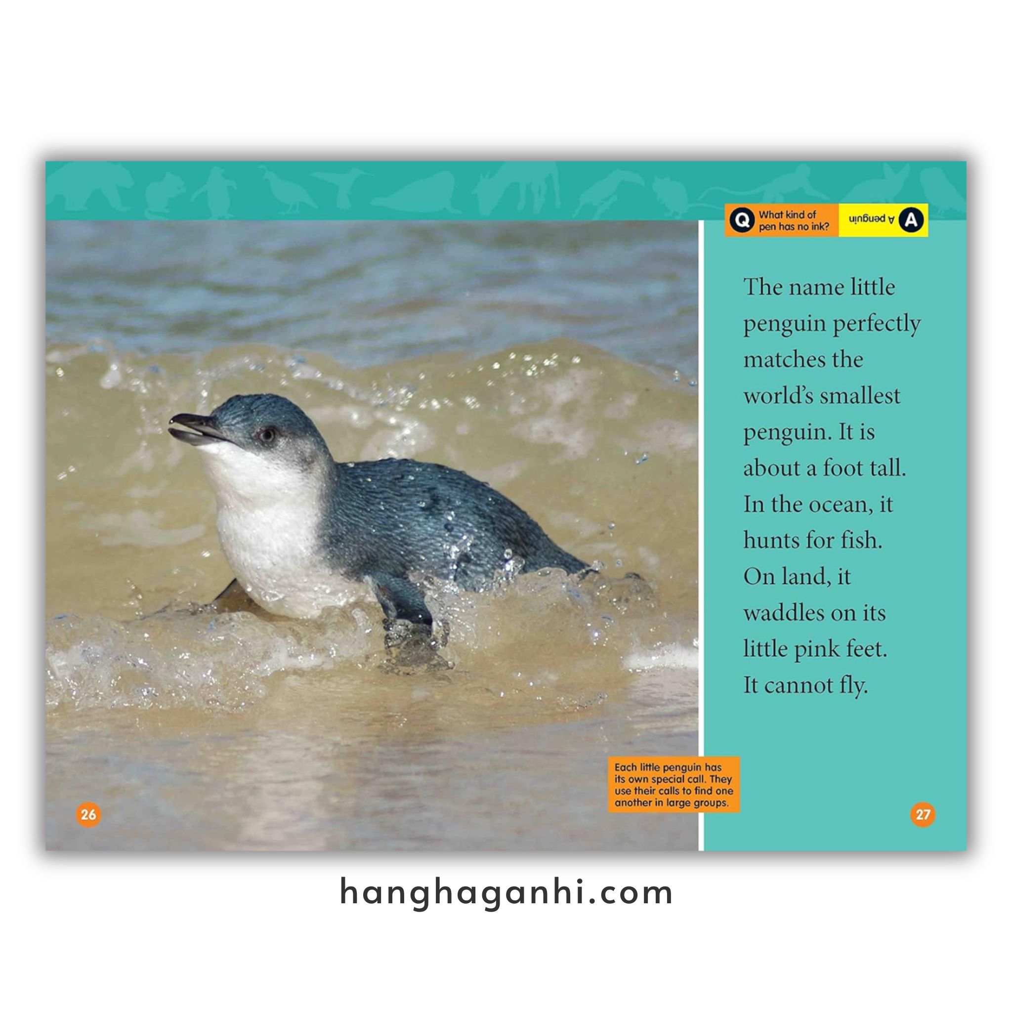 Bộ 41 cuốn National Geographic Kids level 2 - sách Khoa học tiếng Anh nhập khẩu, nguyên seal_thumbnail_9