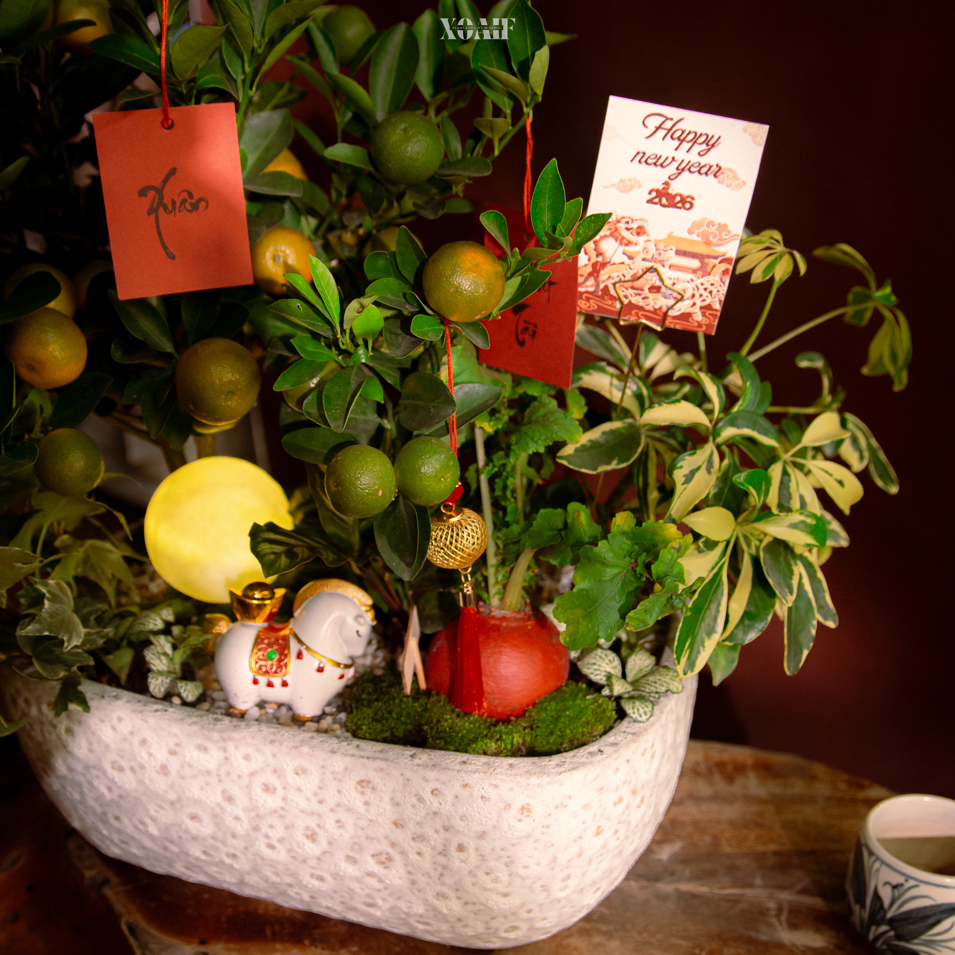 ĐĨNH XUÂN MÃN Ý_thumbnail_2