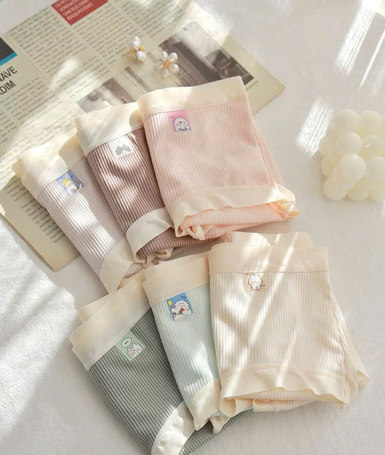 Set 10 quần lót ( NGẪU NHIÊN 5 MÀU )_thumbnail_7