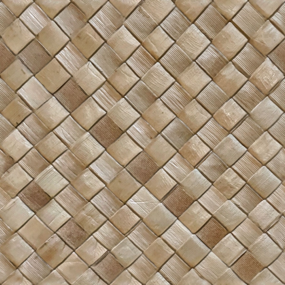 woven-palm-leaf-g1v86f